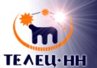 логотип агентство недвижимости и туризма Телец-НН